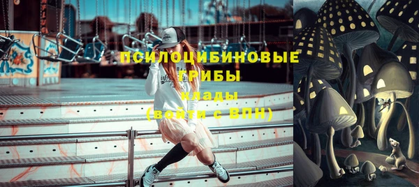 герыч Арсеньев